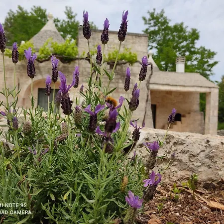 度假居 Trullo Pietro *